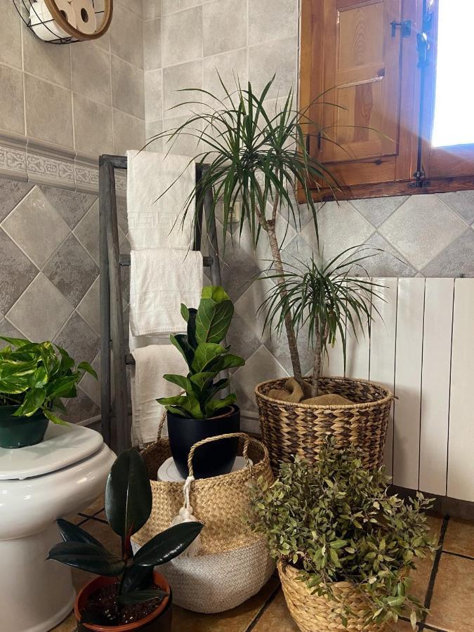 Pozohondo Esse Natura Alojamientos & Lifestyle מראה חיצוני תמונה