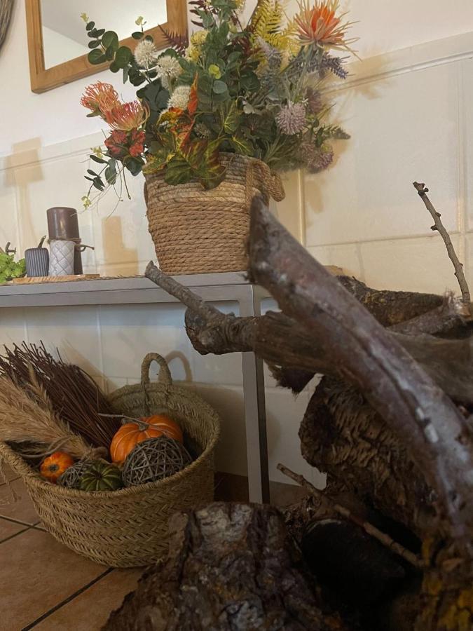 Pozohondo Esse Natura Alojamientos & Lifestyle מראה חיצוני תמונה